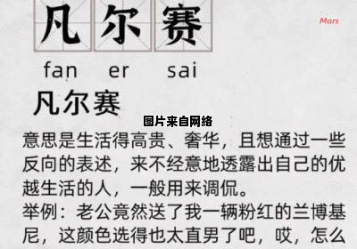 探索凡尔赛在网络中的含义