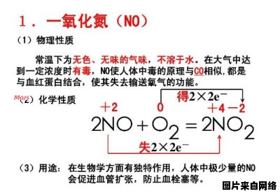 化学术语NO的含义是什么？