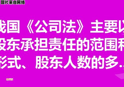 法人股东的责任及其承担方式