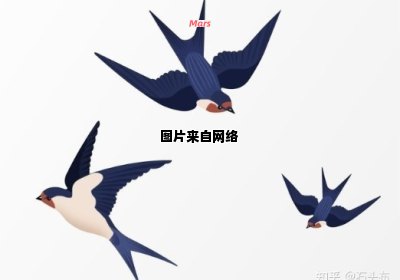 燕子的尾巴有何特殊形态？