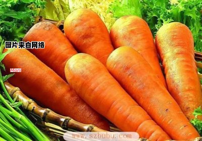 红萝卜的益处及其对人体的作用