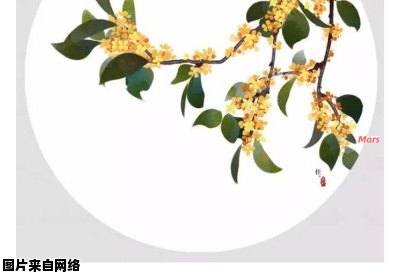 桂花香溢，诗词妙境