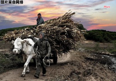 走进乡野，亲历民间之美