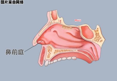 鼻前庭恶性肿瘤生长速度是否迅猛？