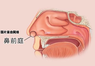 鼻前庭恶性肿瘤生长速度是否迅猛？