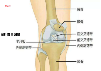 膝盖经常疼痛的原因是什么