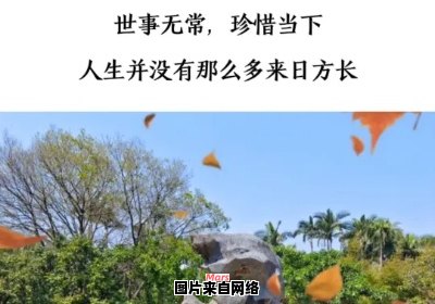 时光无常，珍惜当下的乐趣