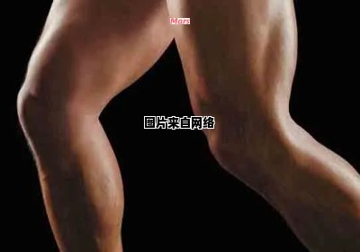 为什么会有腿部肌肉发达？