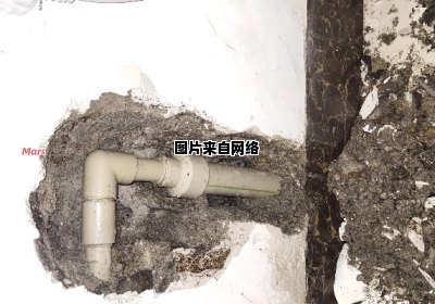 公共水管漏水损失应由谁承担责任