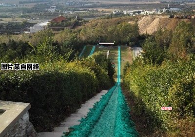 沈阳奇特的坡道位于哪一条高速公路上？