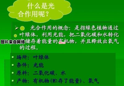 光合作用书房的介绍与特点