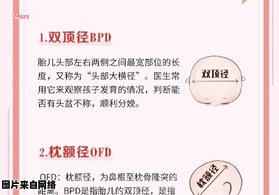 网络用语BPD的含义是什么