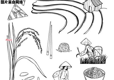 水稻的简易画法是什么