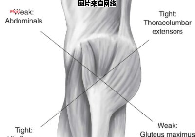 四肢肌肉紧缩程度的计算方法