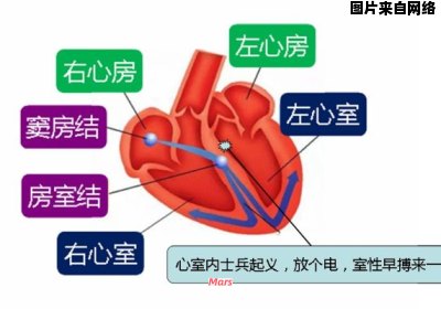 室性早搏的危险性与影响是什么？